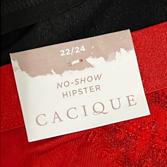 NWT cacique all a size 22/24. - Picture 2 of 4